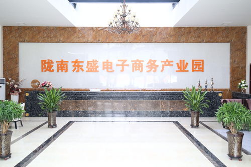 隴南東盛農產品電子商務